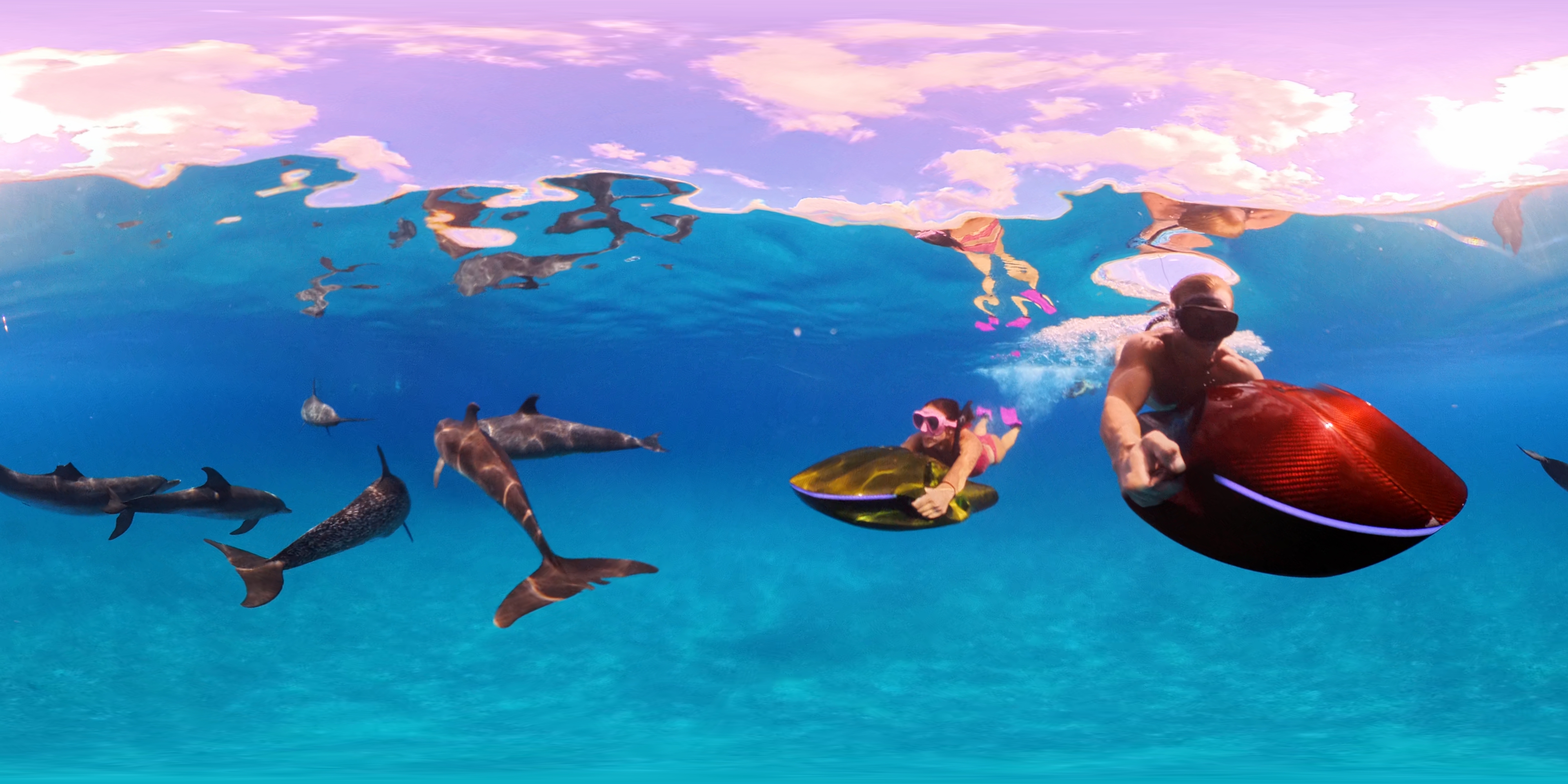 SeaNXT dolphins screenshot